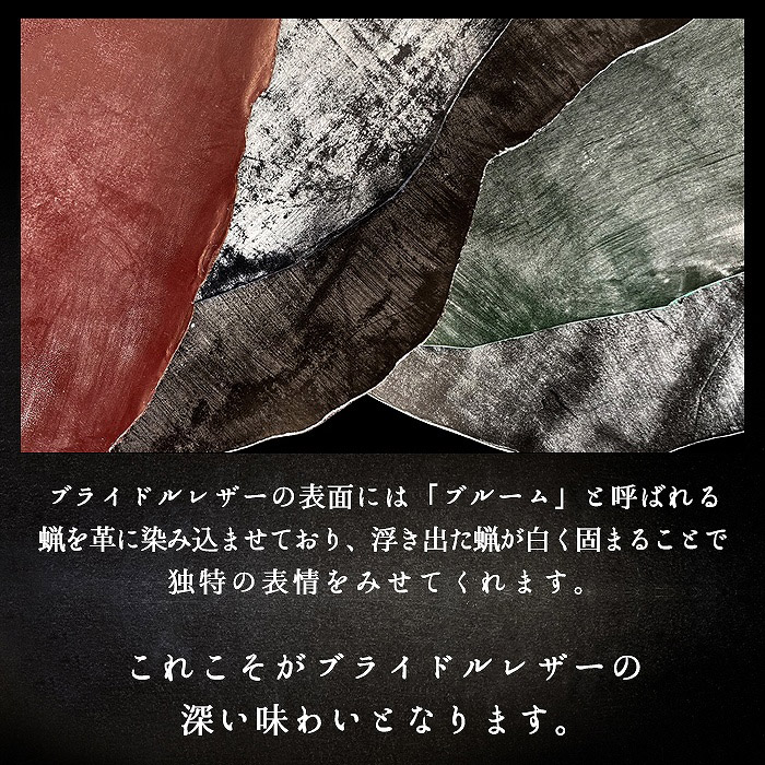 ARROWSBe3 F-02L ケース カバー f02l アローズBe3 手帳型ケース 手帳型 携帯カバー 携帯ケース F-02Lケース ブライドルレザー 本革 スマホケース 関連画像4