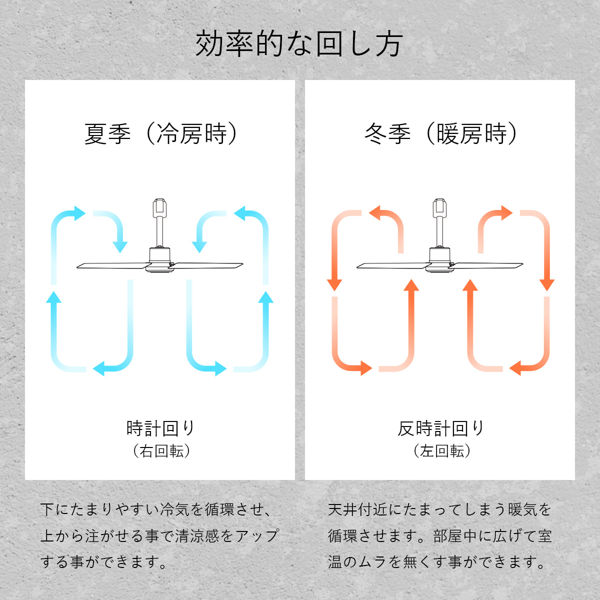 DUCT RAIL FAN DC plus Φ50（ダクトレールファン DCモーター プラス Φ50 cm） |  | 09