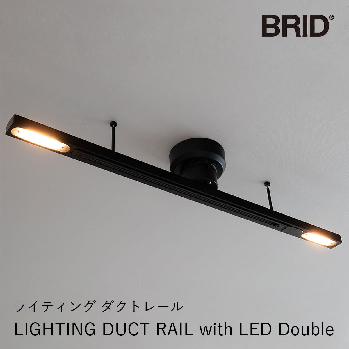LIGHTING DUCT RAIL with LED Double（ライティング ダクトレール with LED ダブル） | 