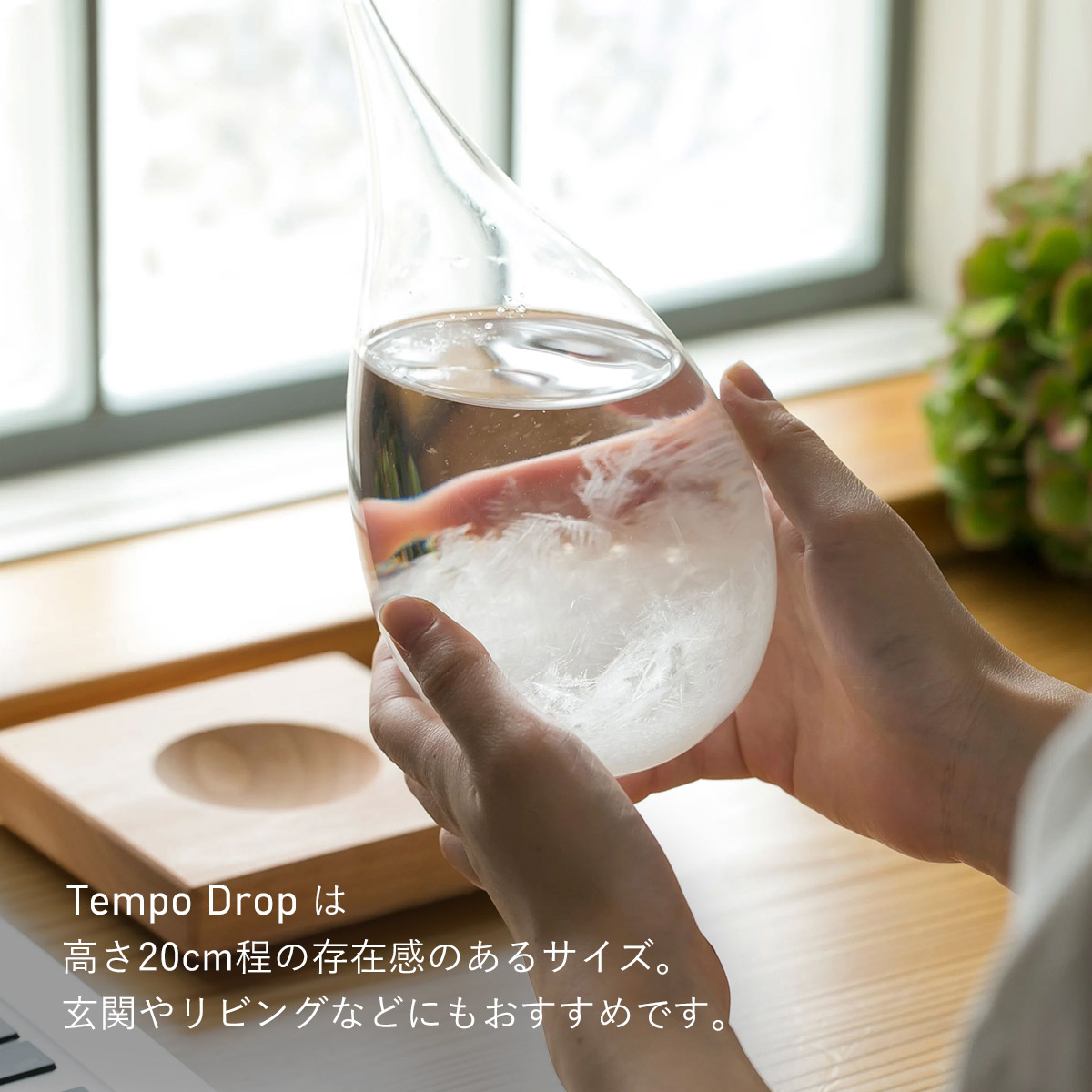 Tempo Drop テンポドロップ [ Clear ] クリア ストームグラス 天気管 オブジェ 100% 100PERCENT（ヒャクパーセント） | 100percent | 06