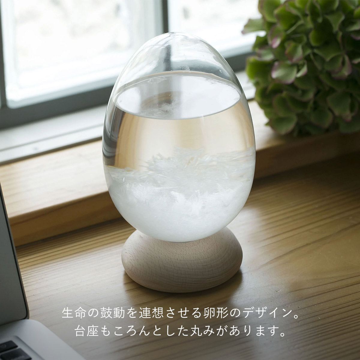Tempo Palse テンポパルス [ Clear ] クリア ストームグラス 天気管 オブジェ 100% 100PERCENT（ヒャクパーセント） | 100percent | 04
