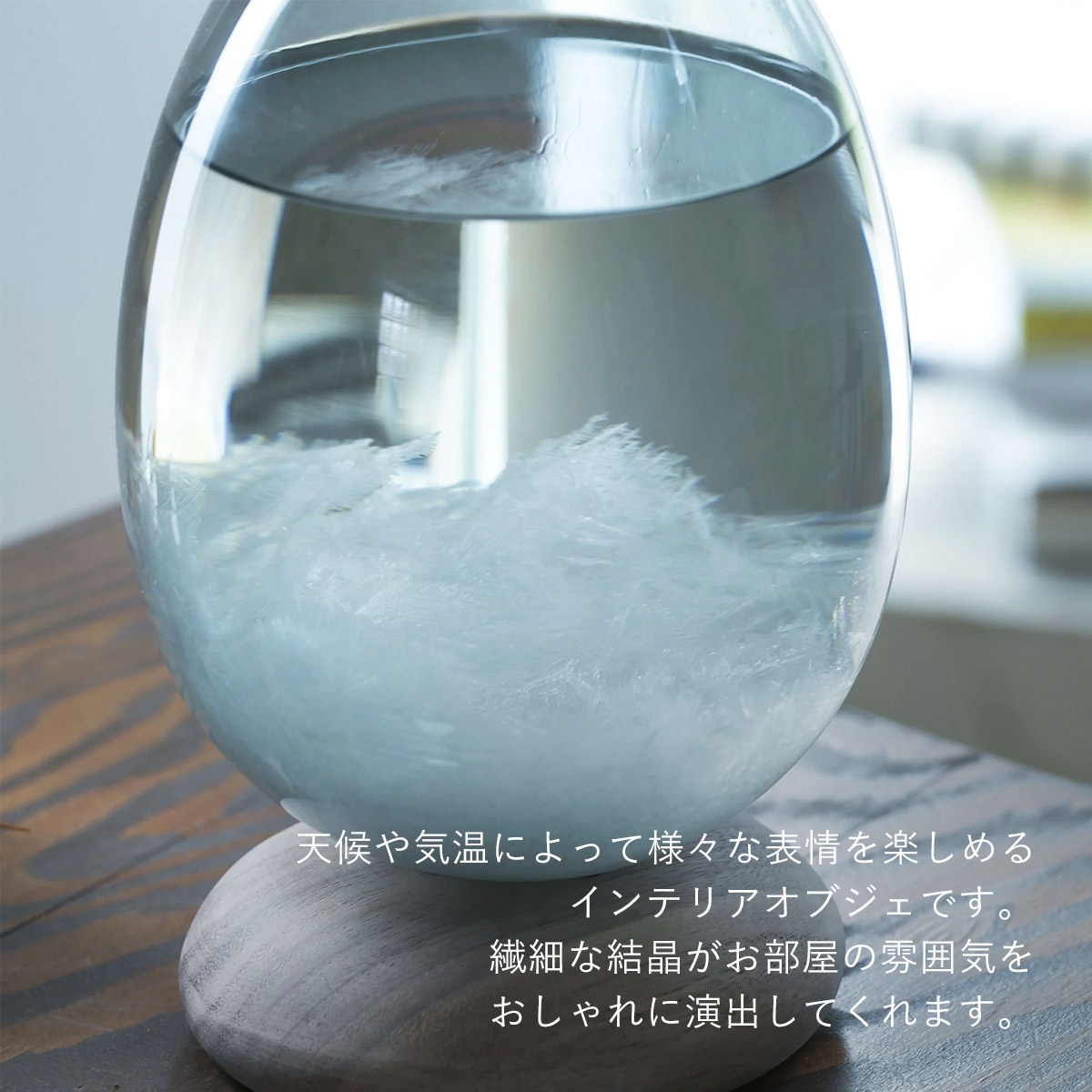 Tempo Palse テンポパルス [ Clear ] クリア ストームグラス 天気管 オブジェ 100% 100PERCENT（ヒャクパーセント） | 100percent | 05