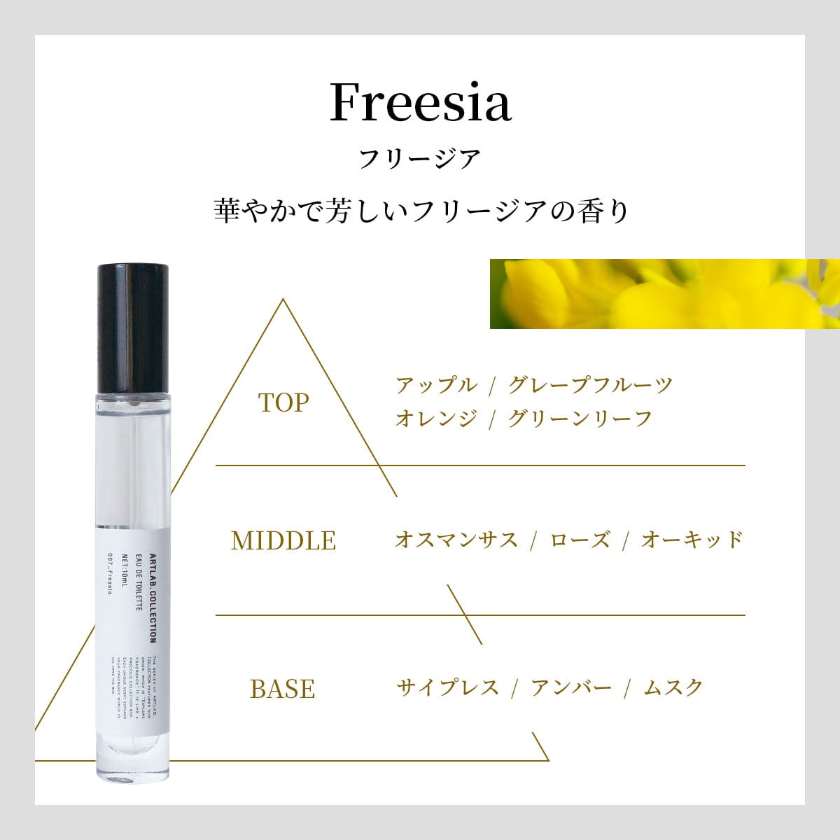 ART LAB. COLLECTION オードトワレ |  | 07