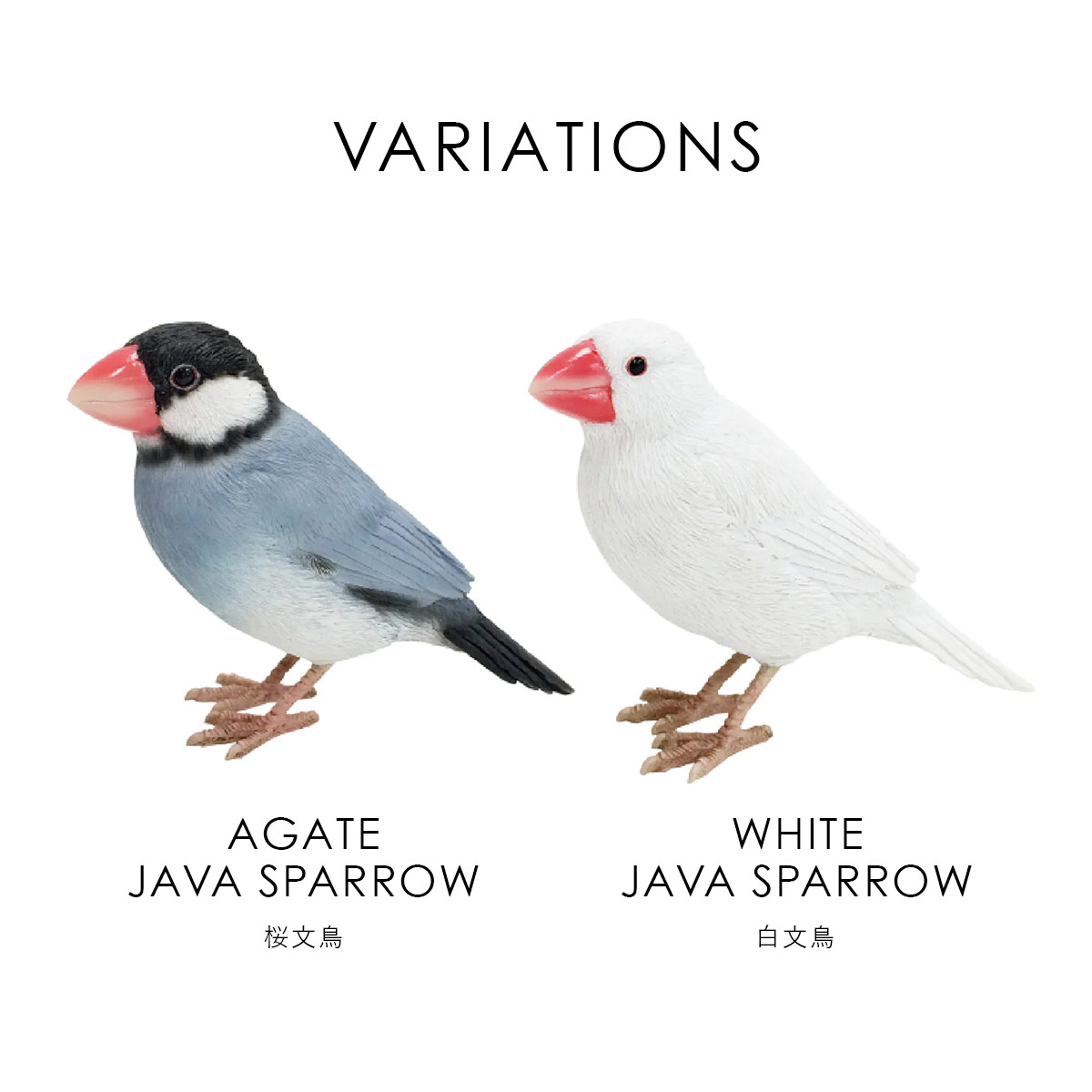magnet BIRDIE BILL バーディ ビル JAVA SPARROW 文鳥 オブジェ 