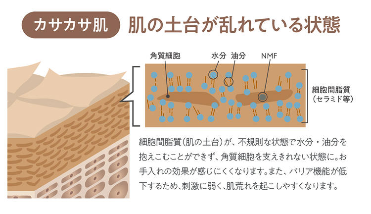 【導入美容液】ラメラエッセンス | 30mL | comoace | 03