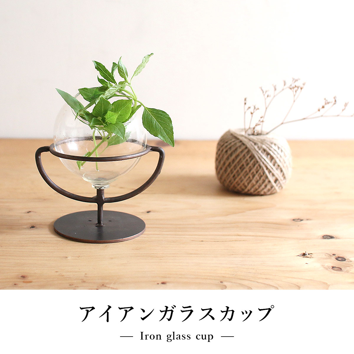 アイアンガラスカップ SOW ソウ |  | 01