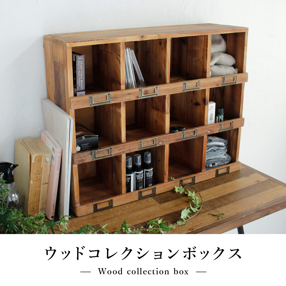 ウッドコレクションボックス SOW ソウ |  | 01