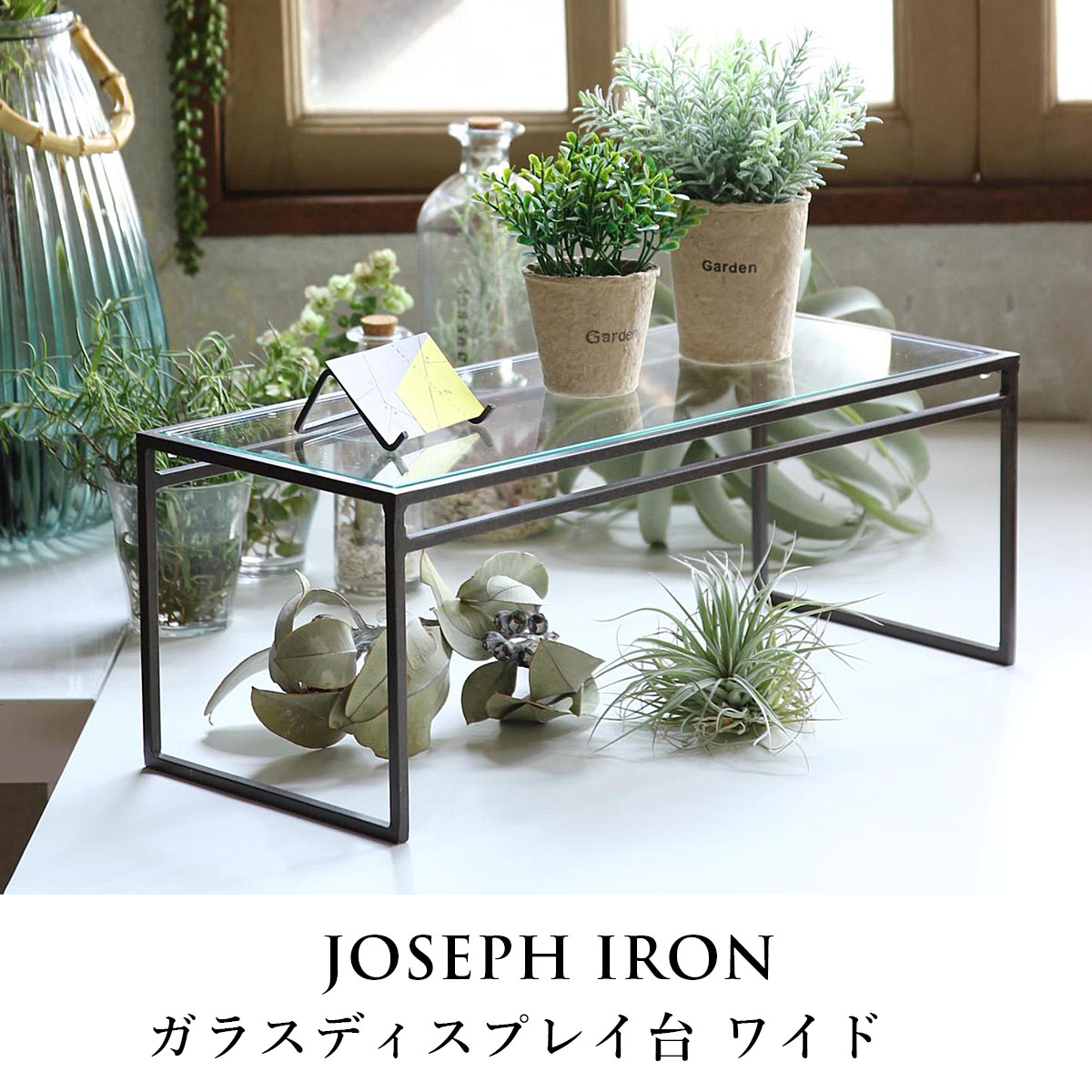 Joseph Iron ジョセフアイアン ガラスディスプレイ台 ワイド Lサイズ Joseph Iron ジョセフアイアン ガラスディスプレイ台 ワイド Lサイズ