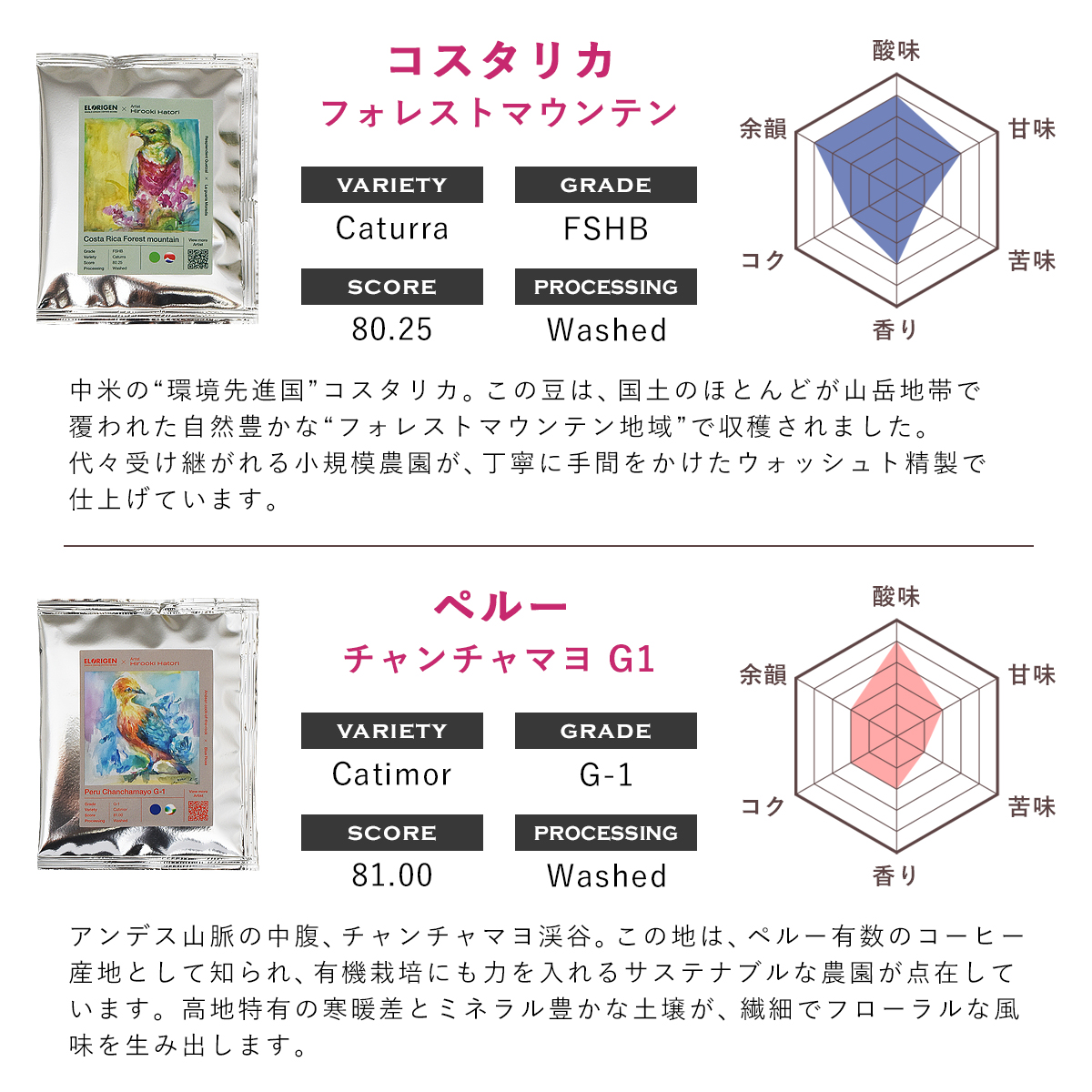 EL ORIGEN（エル オリヘン） スペシャリティコーヒー ドリップバッグ 南米3カ国(3種×2個) ドリップコーヒー パック 10g×6個入 アーティストコラボ ギフト用 |  | 04