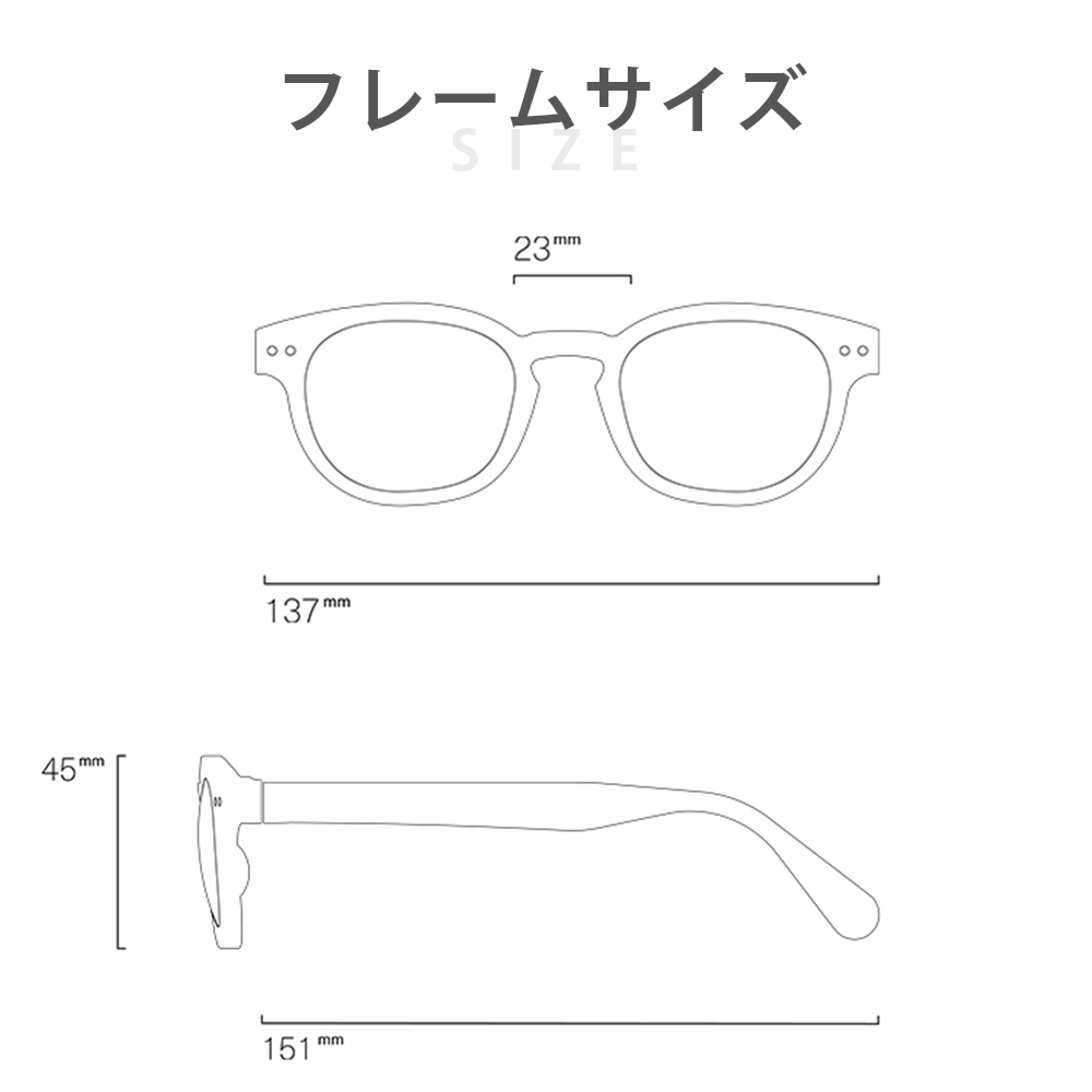 IZIPIZI イジピジ SUN CAT.1-3 | #C 調光サングラス | IZIPIZI | 11