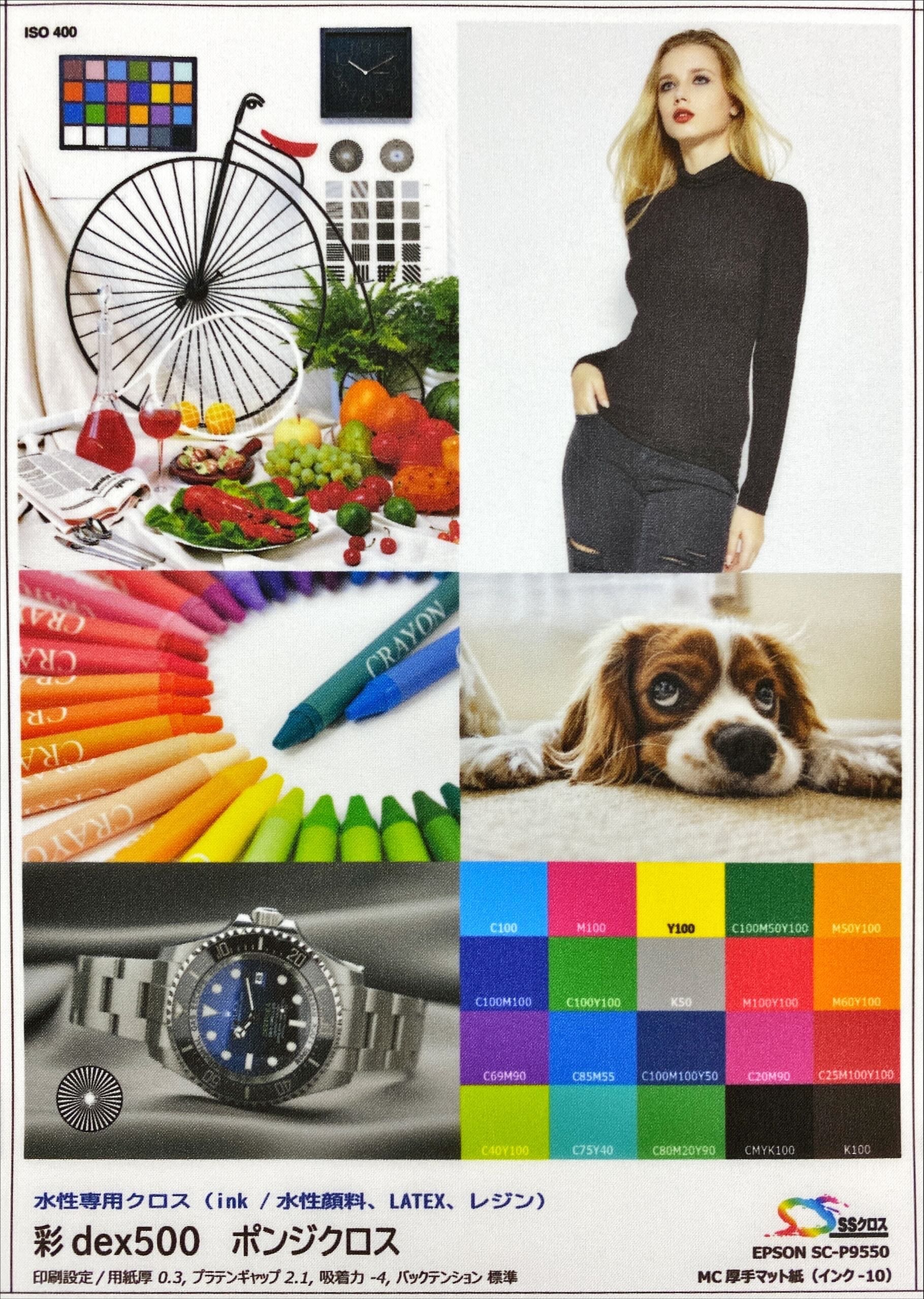 彩dex500 ポンジクロス 610mm×20M ( HS021A/500-0610 ) 1本 セーレン商事 インクジェット専用クロスメディア クロスロール |  | 08