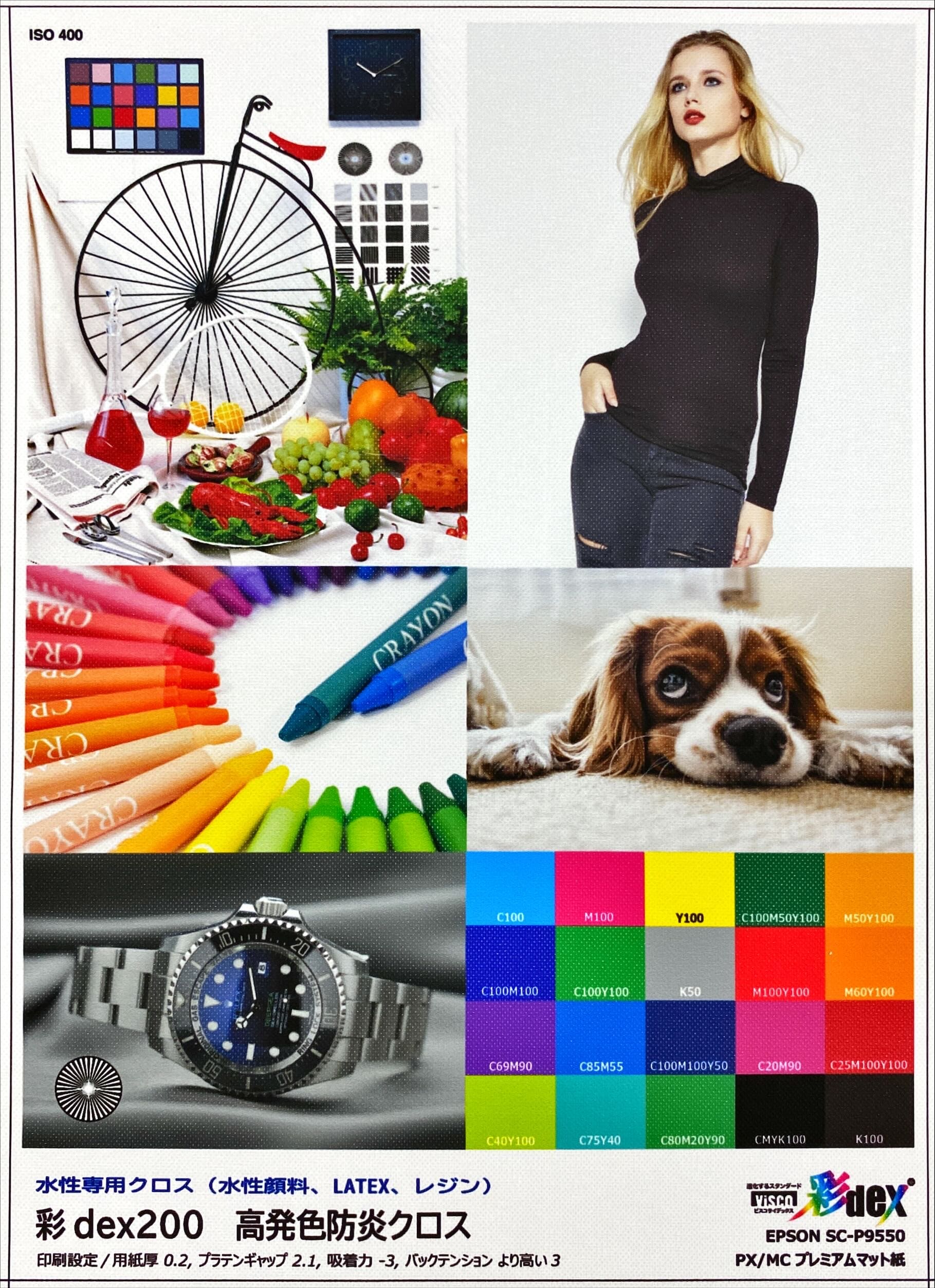 彩dex200 高発色防炎クロス 1118mm×20M ( HS030D/230-1118 ) 1本 セーレン商事 インクジェット専用クロスメディア クロスロール |  | 08