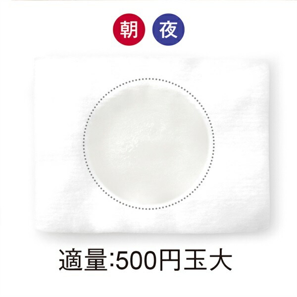 【美白化粧水】絹麗粋 プレ-モイスト-アクア ホワイト | 120mL | 医薬部外品 | comoace | 05