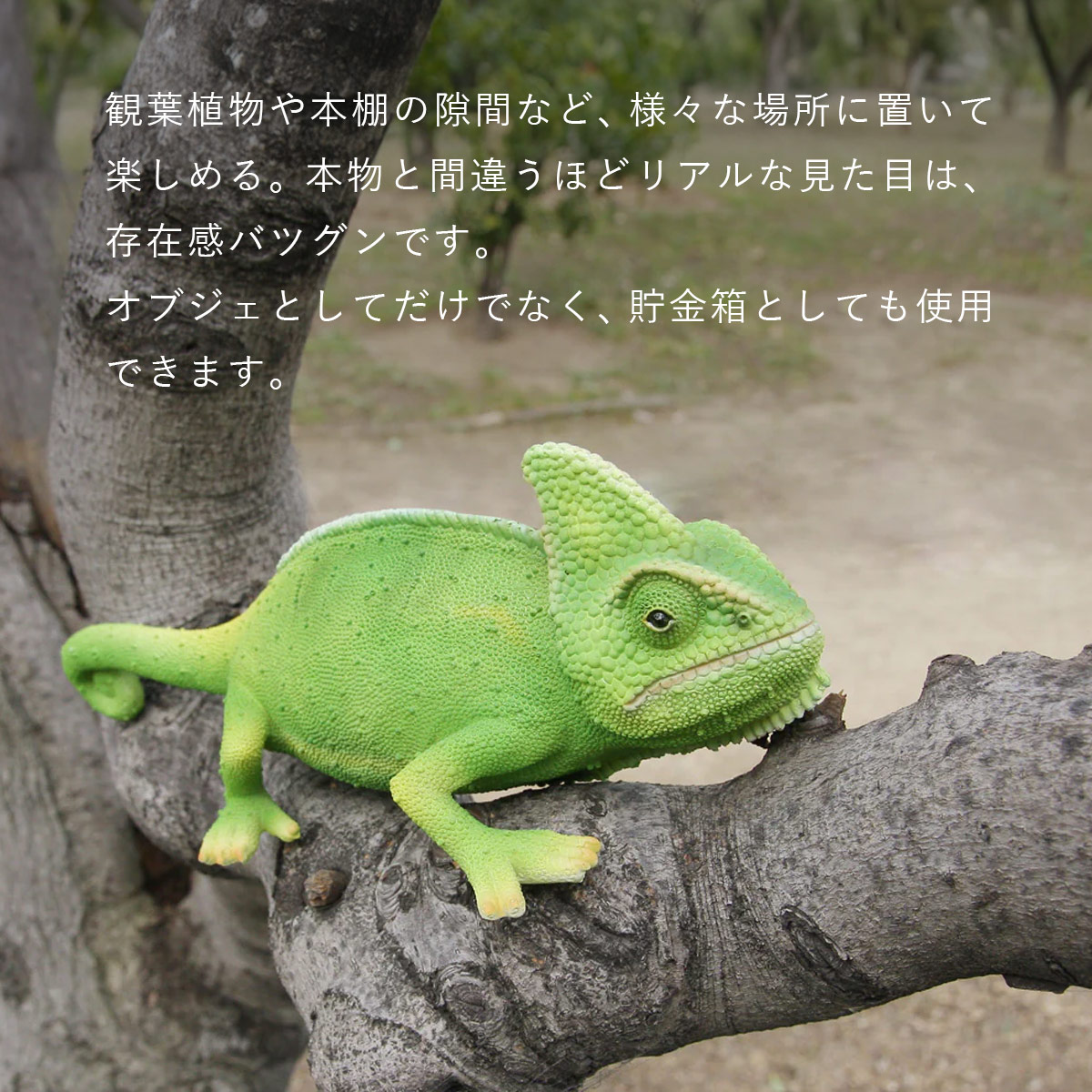 PET BANK ペットバンク CHAMELEON GREEN カメレオングリーン オブジェ 貯金箱 magnet マグネット | magnet | 02