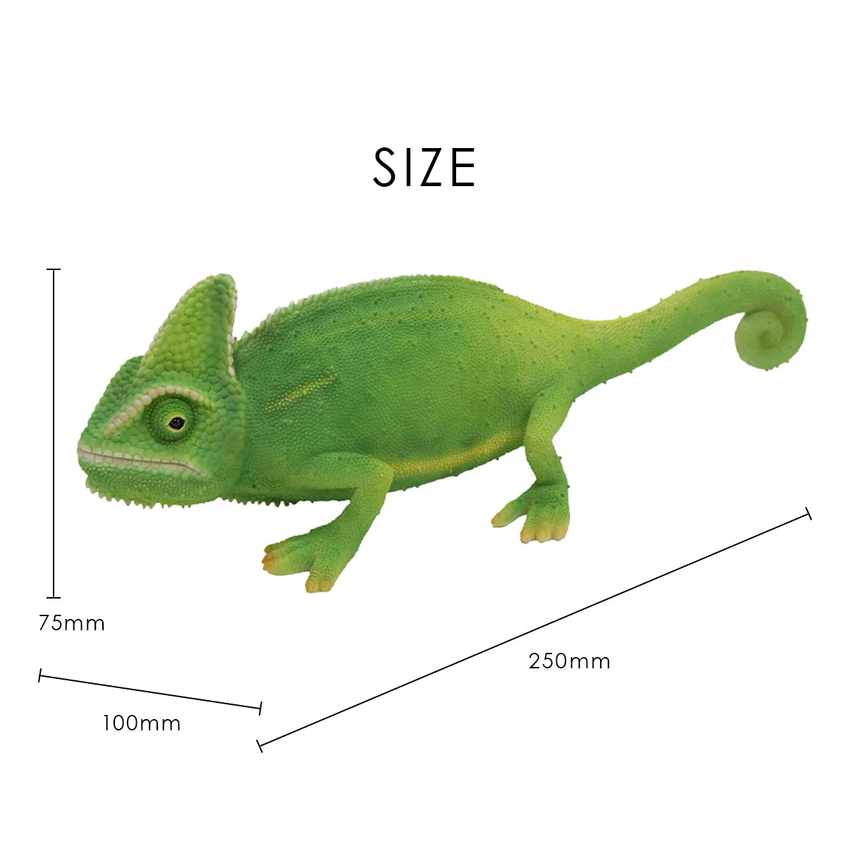 PET BANK ペットバンク CHAMELEON GREEN カメレオングリーン オブジェ 貯金箱 magnet マグネット | magnet | 03