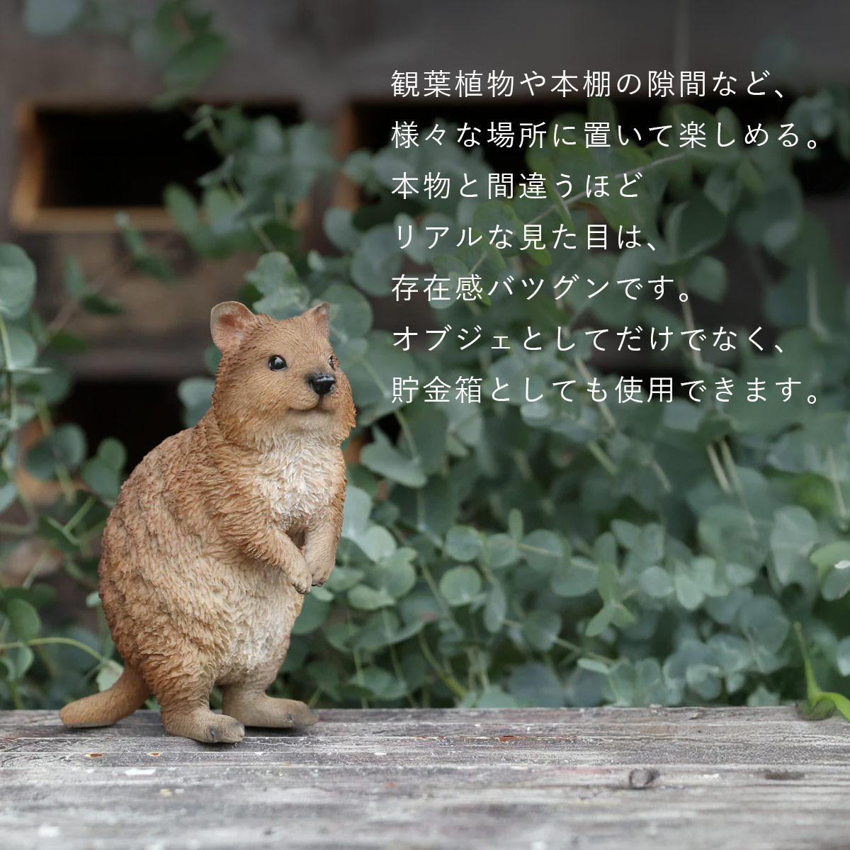magnet PET BANK ペットバンク QUOKKA クアッカワラビー オブジェ 貯金