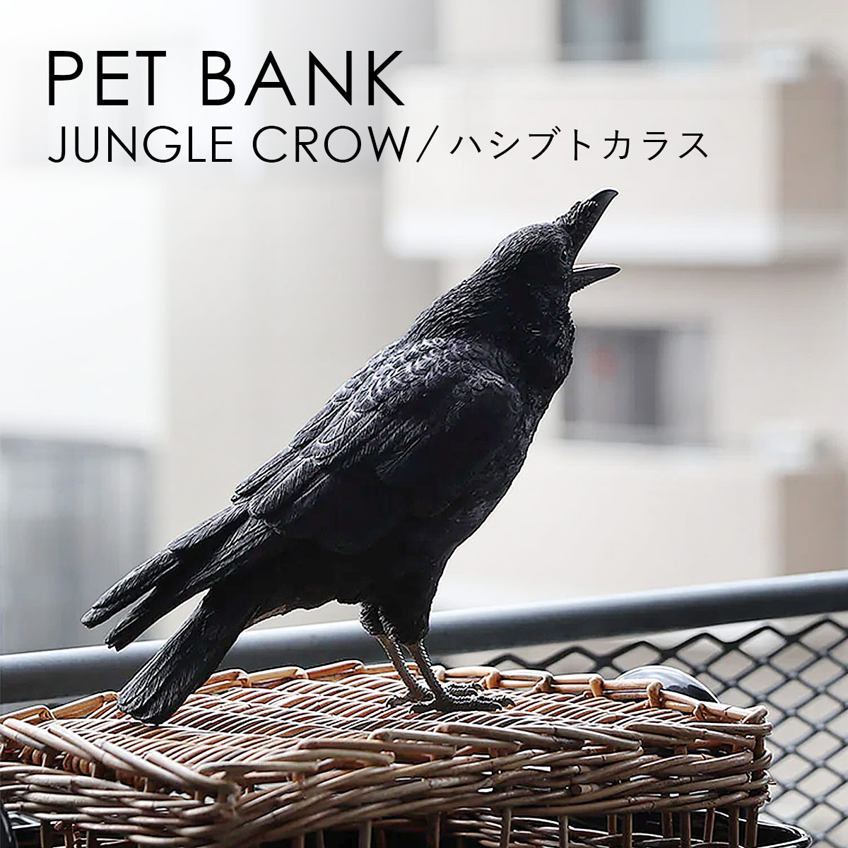 PET BANK �y�b�g�o���N JUNGLE CROW �n�V�u�g�J���X �I�u�W�F ������ magnet �}�O�l�b�g