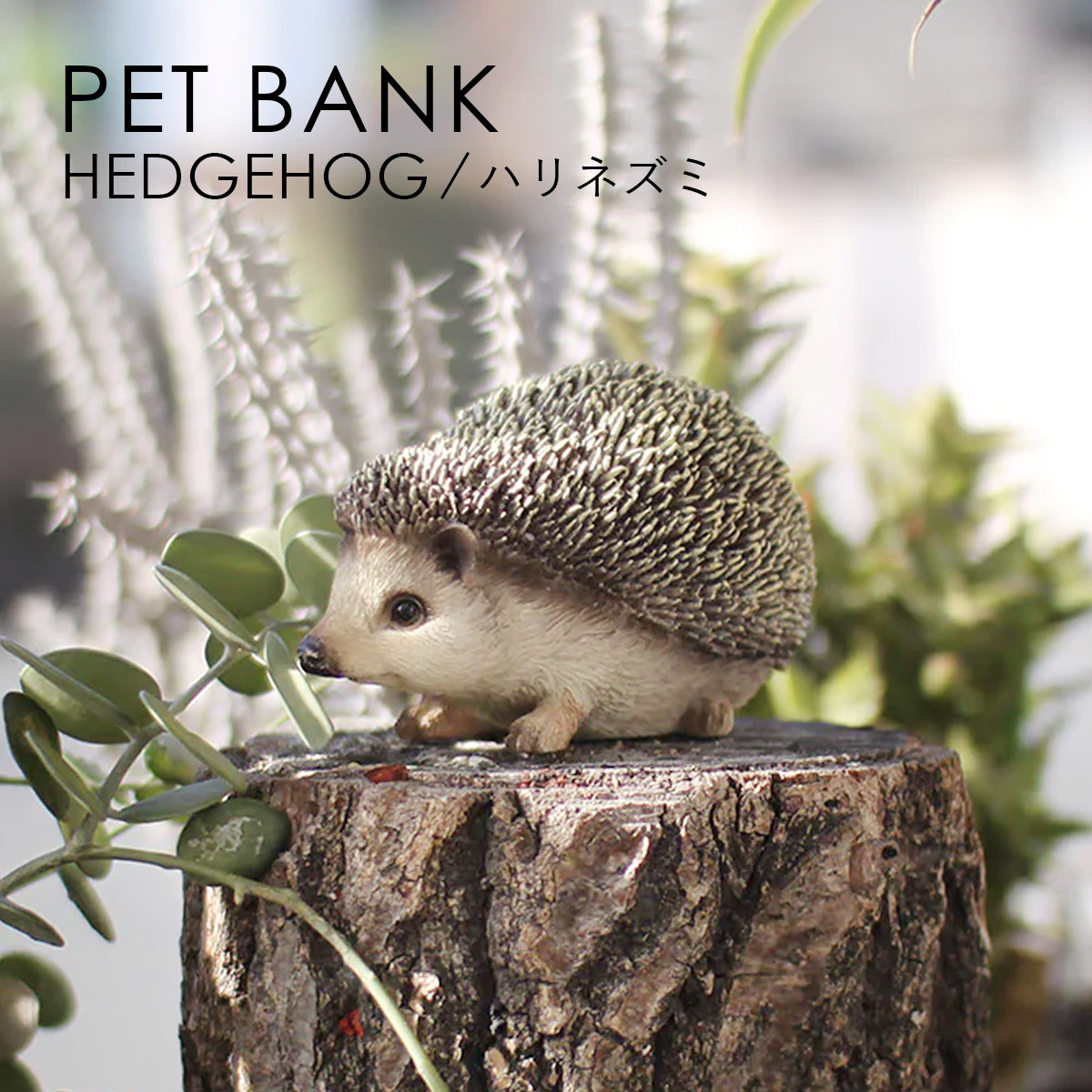 PET BANK �y�b�g�o���N HEDGEHOG �n���l�Y�~ �I�u�W�F ������ magnet �}�O�l�b�g