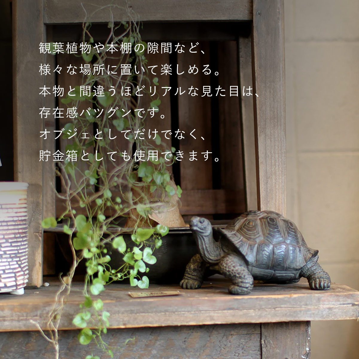 PET BANK ペットバンク TORTOISE トータス オブジェ 貯金箱 magnet マグネット | magnet | 02