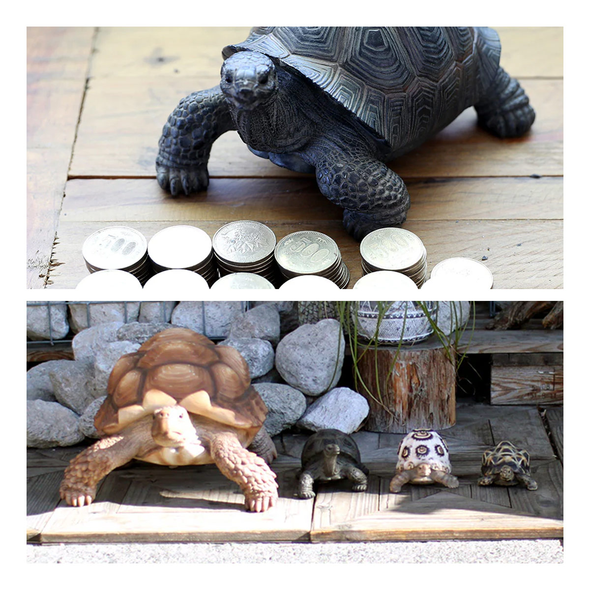 PET BANK ペットバンク TORTOISE トータス オブジェ 貯金箱 magnet マグネット | magnet | 03