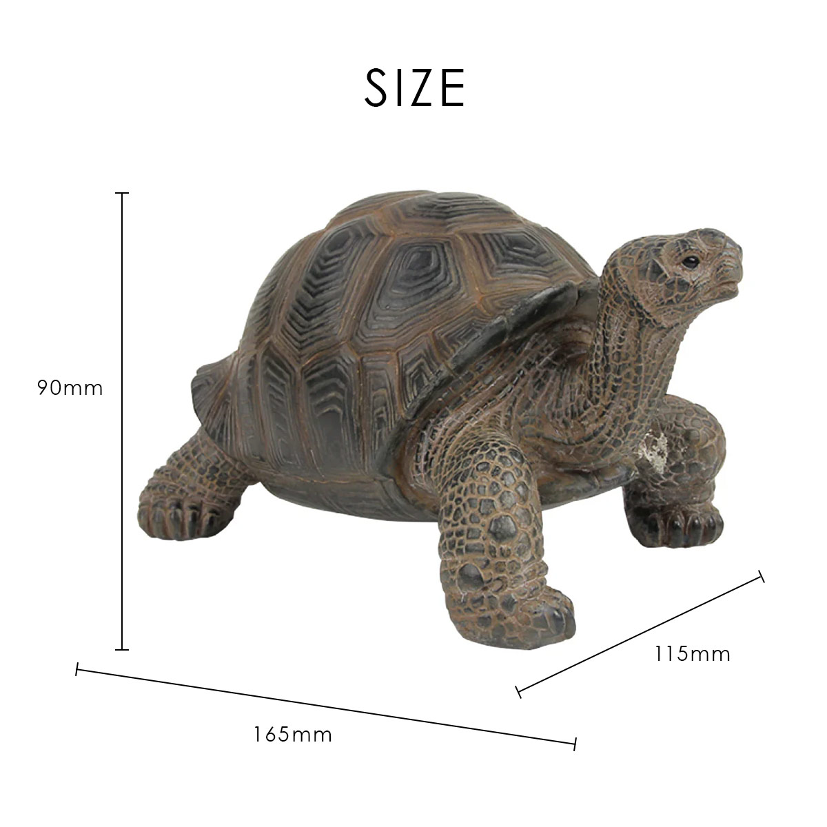 PET BANK ペットバンク TORTOISE トータス オブジェ 貯金箱 magnet マグネット | magnet | 04