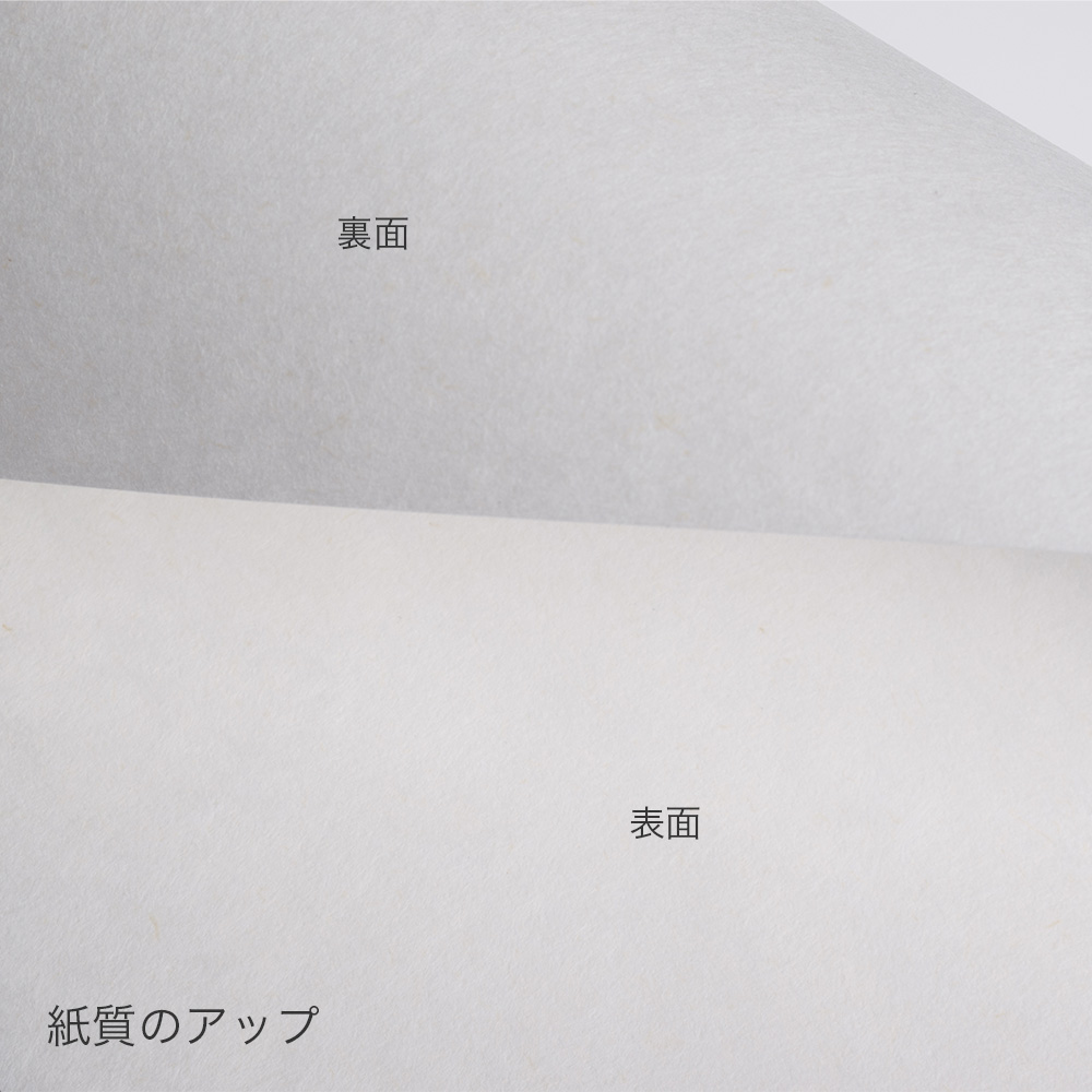 大直 和紙 プリンター用紙 麻紙 晒白 厚口 A4 30枚入 | 大直 | 05