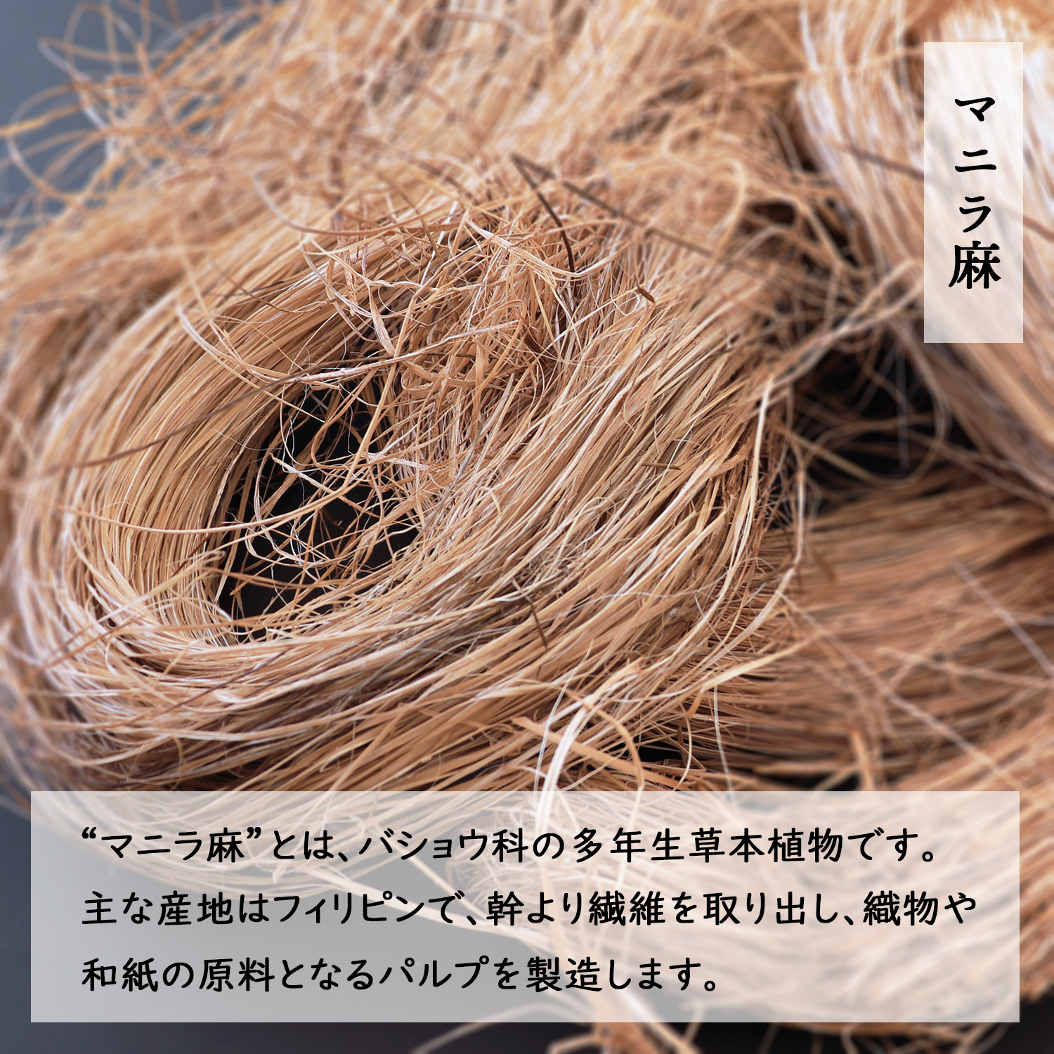 大直（ONAO） 和紙 プリンター用紙 麻紙 未晒 厚口 A3ノビ 20枚入 : 走