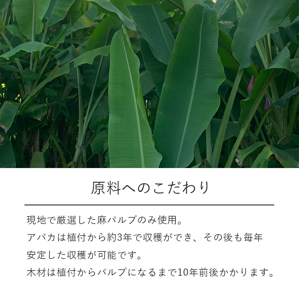 大直 和紙 プリンター用紙 麻紙 晒白 厚口 A4 30枚入 | 大直 | 02