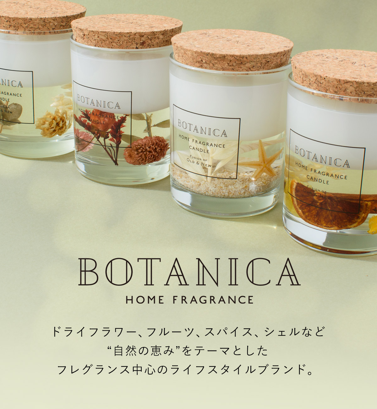 BOTANICA（ボタニカ）WOOD MIST（ウッドミスト）キャンドル OLD&NEW（オールドアンドニュー） | BOTANICA | 06