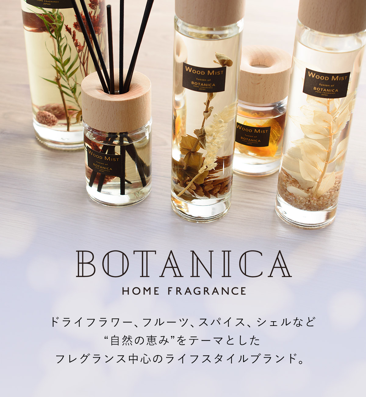 BOTANICA（ボタニカ）WOOD MIST（ウッドミスト）ディフューザー Ｓサイズ OLD&NEW（オールドアンドニュー） | BOTANICA | 06