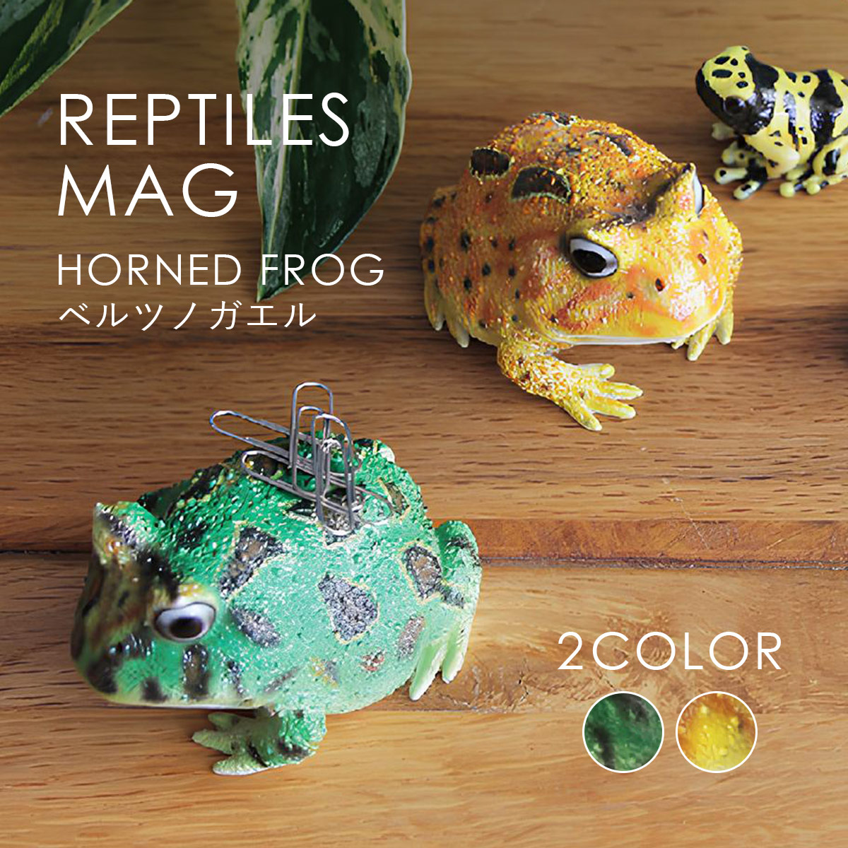magnet REPTILES MAG レプタイルズ マグ HORNED FROG ベルツノガエル