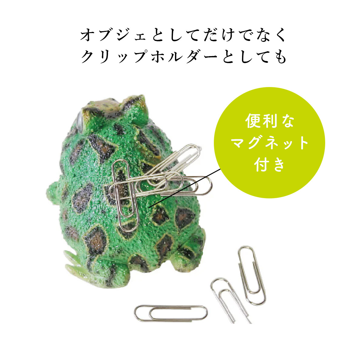 magnet REPTILES MAG レプタイルズ マグ HORNED FROG ベルツノガエル