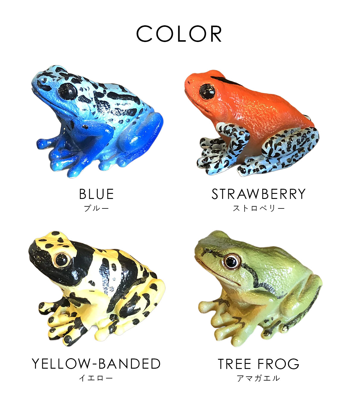 magnet REPTILES MAG レプタイルズ マグ ヤドクガエル アマガエル