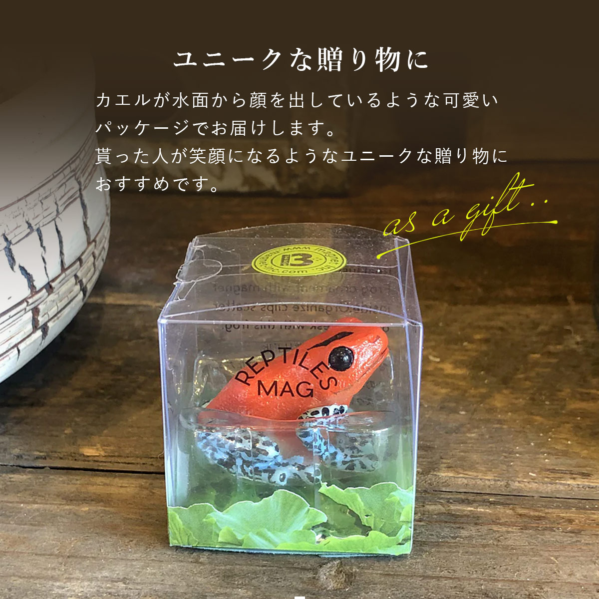 magnet REPTILES MAG レプタイルズ マグ ヤドクガエル アマガエル