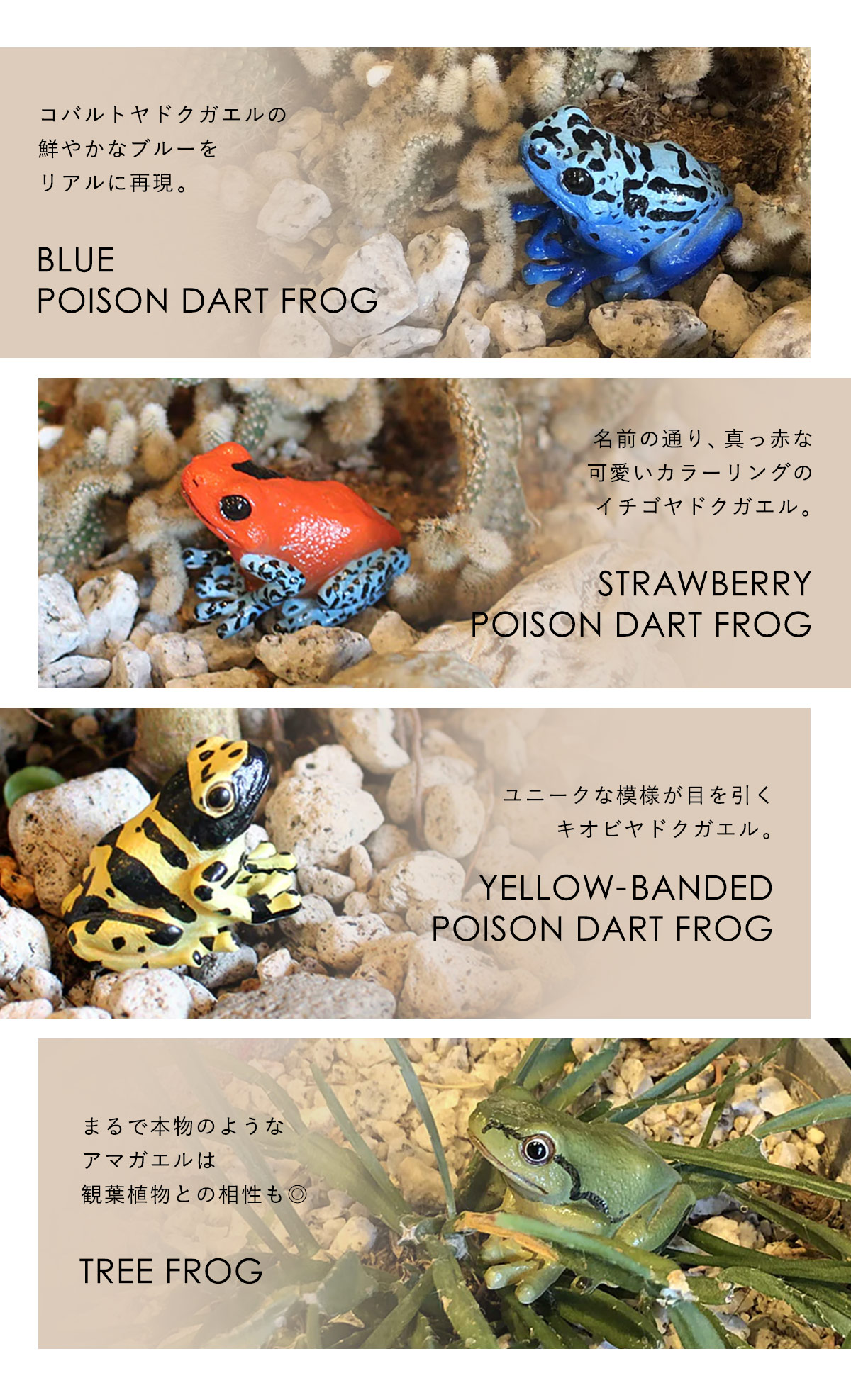magnet REPTILES MAG レプタイルズ マグ ヤドクガエル アマガエル