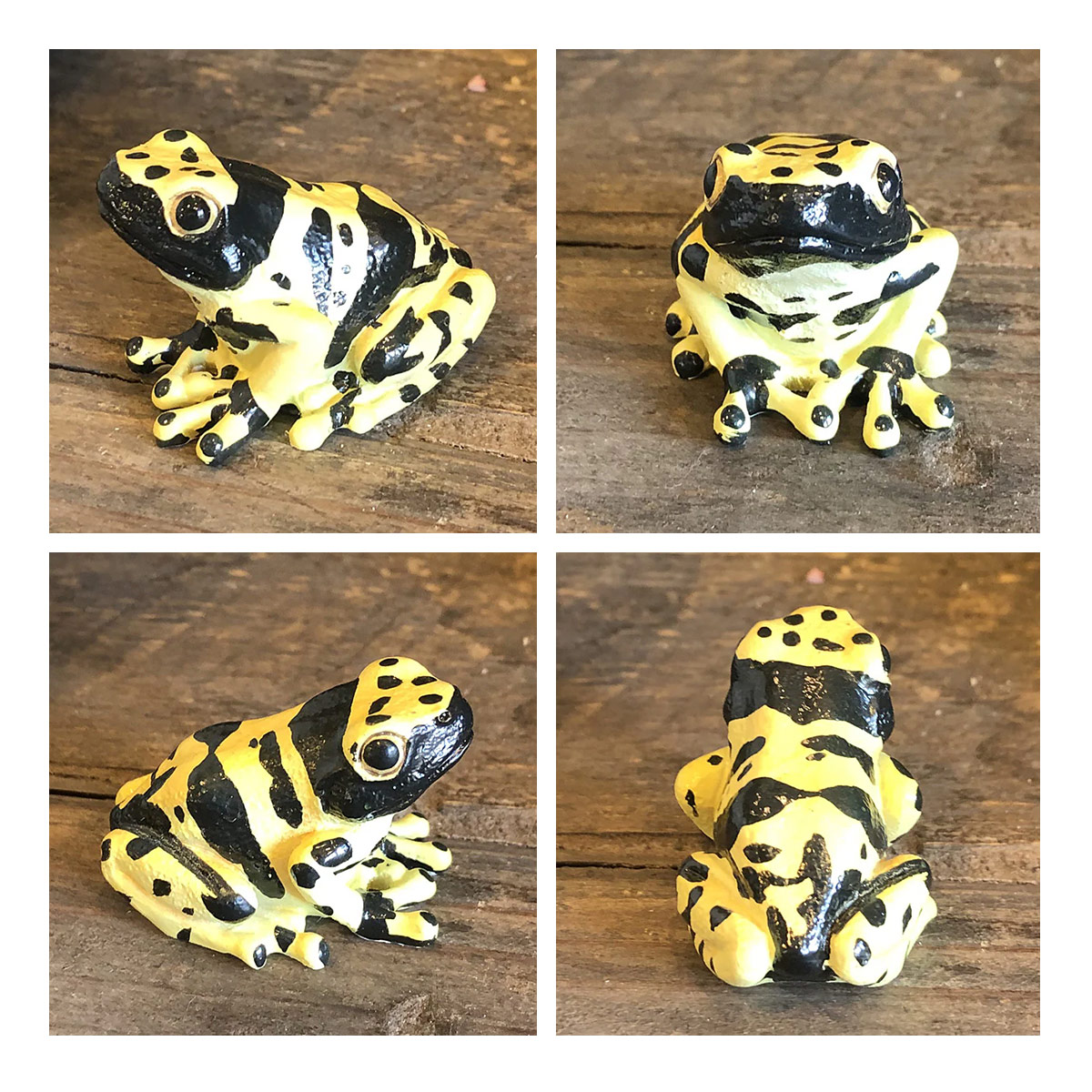 magnet REPTILES MAG レプタイルズ マグ ヤドクガエル アマガエル