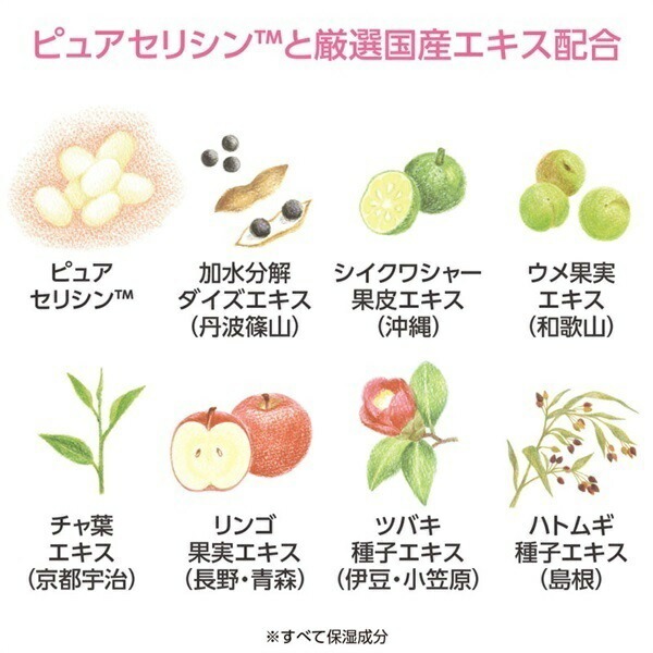 【高保湿化粧水】セリサージュ グレイスローション | 150mL | comoace | 01