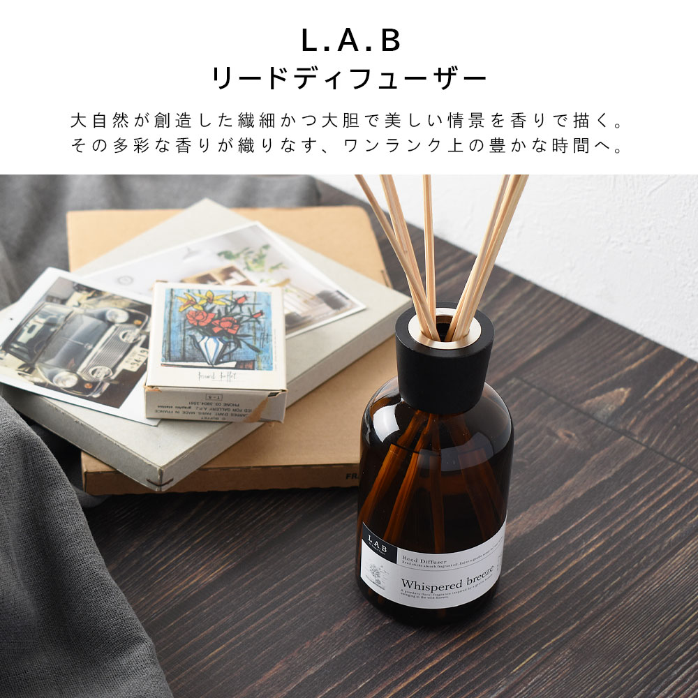 Amazon.co.jp: アートラボ(ART LAB)Songs of Nature
