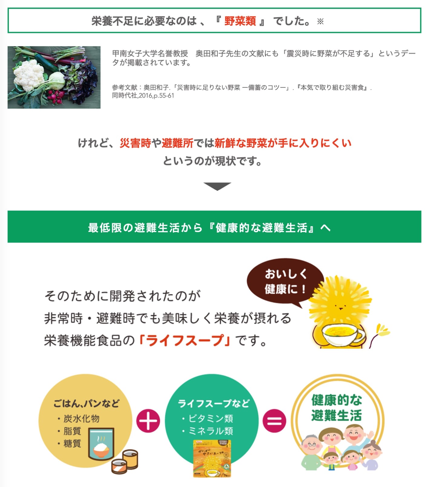 ベジタルアドバンス 備蓄用栄養補給 ライフスー...の詳細画像3