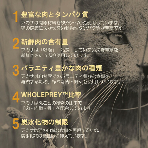 アカナ バウンティフルキャッチキャット 4.5kg×3袋 アカナファミリージャパン ▽t ペット フード 猫 キャット ACANA 送料無料【正規品】の画像