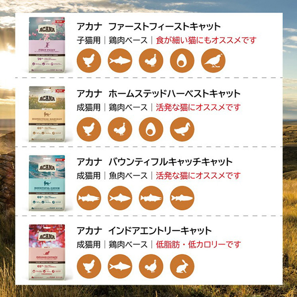 ACANA アカナ インドアエントリーキャッ4.5kg×2 ACANA アカナ インドア