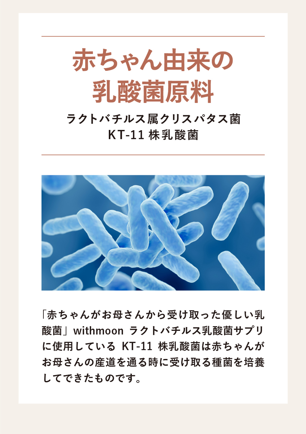 ラクトバチルス菌 サプリ withmoon ラクトバチルス乳酸菌サプリ ラクト