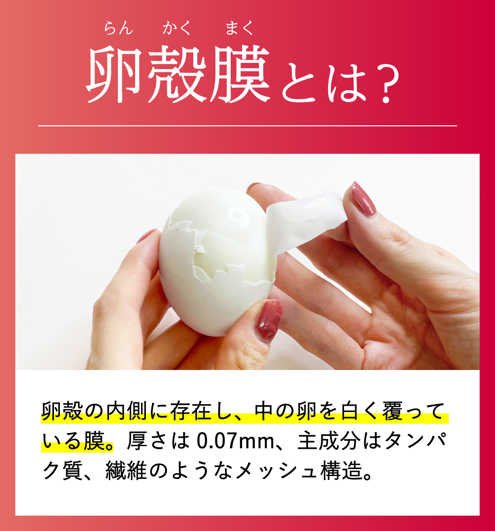 III型卵殻膜サプリメント  450mg×70粒　2箱セット III型卵殻膜サプリメント 450mg×70粒 2箱セット♥サンプル付き - メルカリ