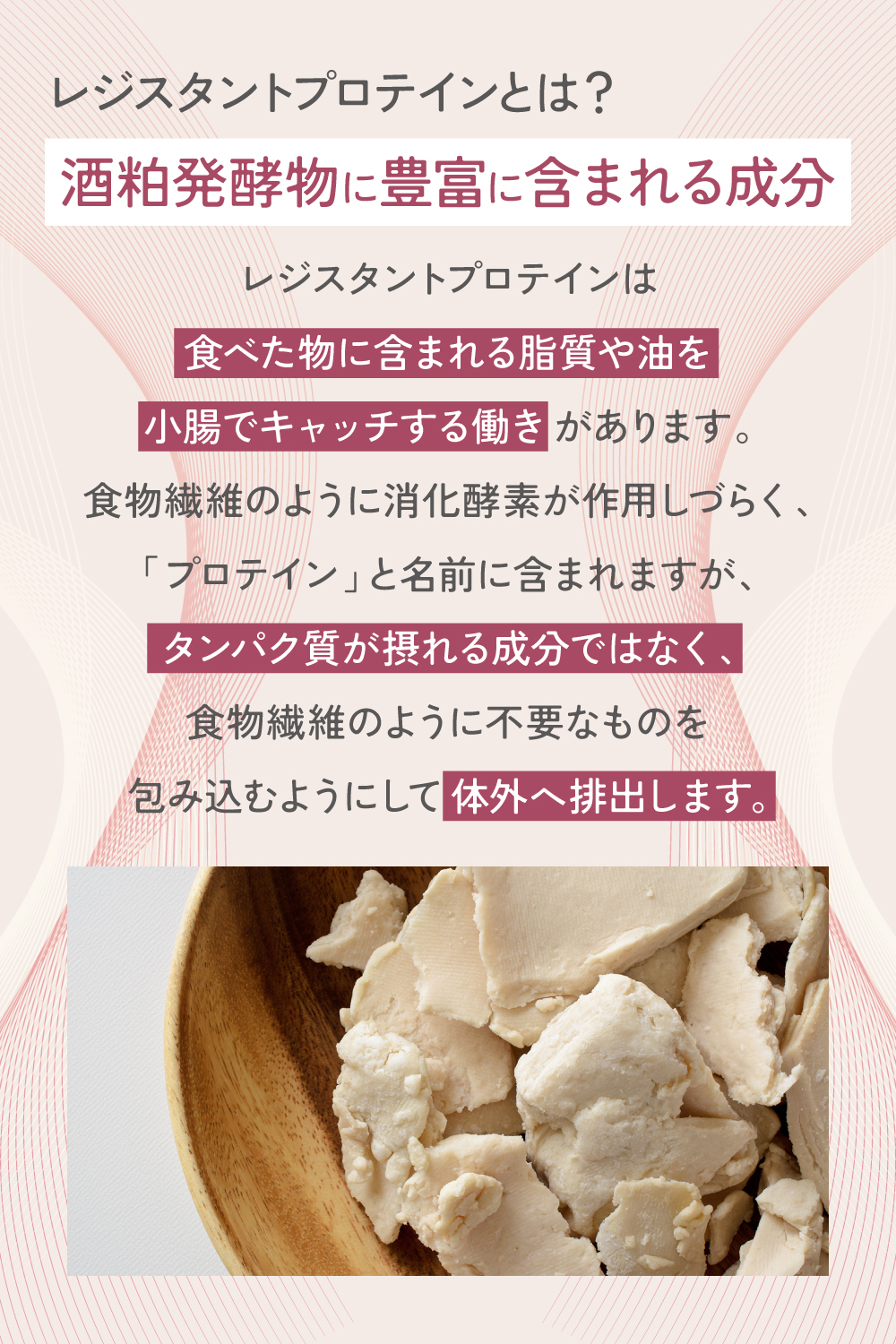 レジスタ ント プロテイン 酒粕