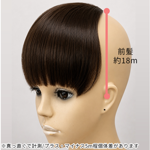 前髪ウィッグ ぱっつん 厚め 自然な髪 C3耐熱ファイバー 人気 バレない
