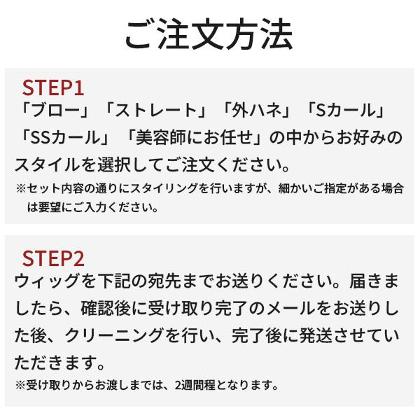 ウィッグ クリーニングとスタイルセット 【人毛100％のウィッグはサービス対象外になります】　シュシュクローゼット   ウィッグ美容室 | ブランド登録なし | 13