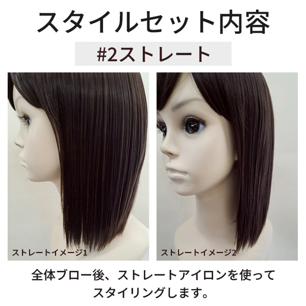 ウィッグ クリーニングとスタイルセット 【人毛100％のウィッグはサービス対象外になります】　シュシュクローゼット   ウィッグ美容室 | ブランド登録なし | 08