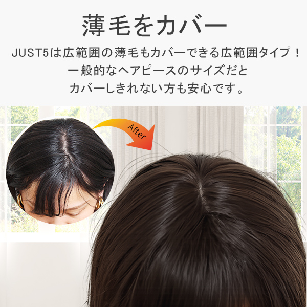 サロン仕上げ ロング ヘアピース シースルー 頭頂部 広範囲カバー