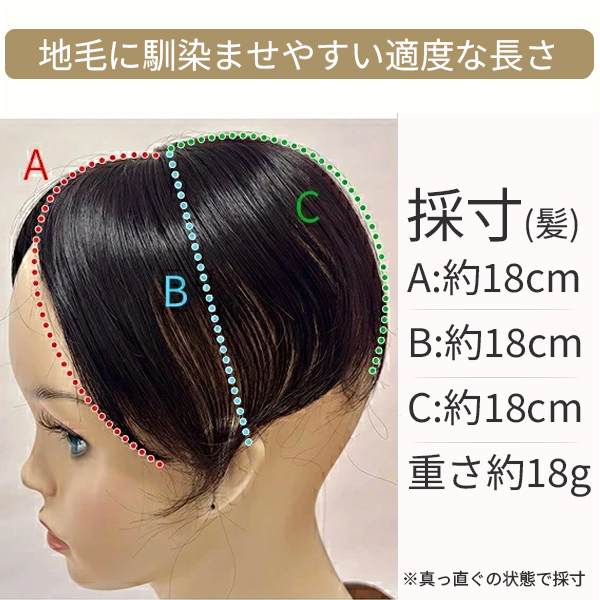 サロン仕上げ ヘアピース シースルー JUST2 部分ウィッグ 分け目