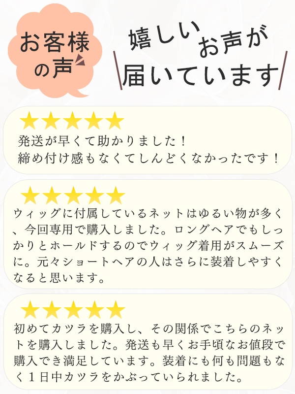 ウィッグ ネット 2枚入り フルウィッグ ウィッグ 伸縮ネット ウイッグ かつらケア セット 女性用 男性用